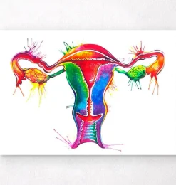 Codex Anatomicus Obstetrics & Gynecology^Uterus anatomy art - Watercolor splash