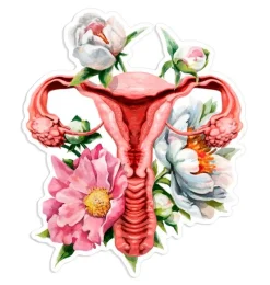 Codex Anatomicus Stickers^Uterus anatomy sticker - Floral
