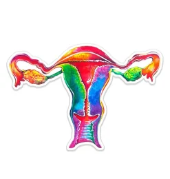 Codex Anatomicus Stickers^Uterus anatomy sticker - Watercolor Splash