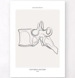 Codex Anatomicus Skull & Skeleton^Vertebrae anatomy - Line Art