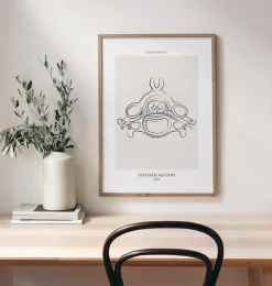 Codex Anatomicus Skull & Skeleton^Vertebrae anatomy II - Line Art