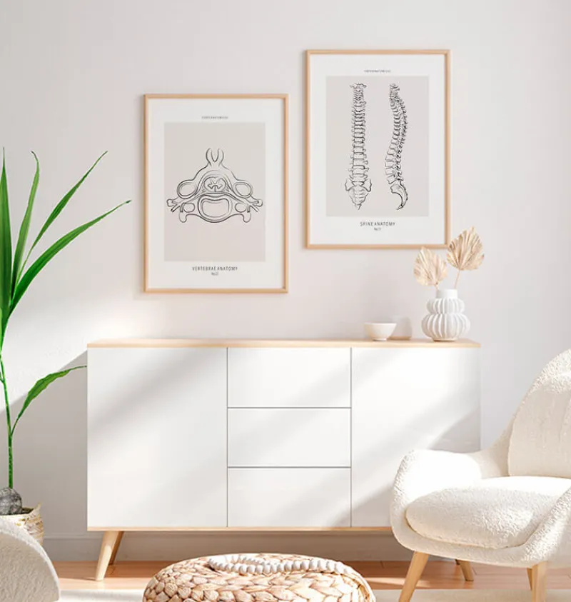 Codex Anatomicus Skull & Skeleton^Vertebrae anatomy II - Line Art