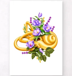 Codex Anatomicus Various Organs^Vestibular system - Floral - White