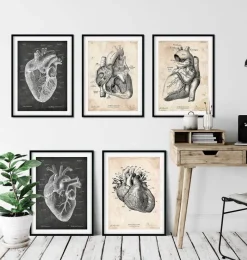 Codex Anatomicus Heart Anatomy^Vintage & Chalkboard Heart anatomy - Set of 5