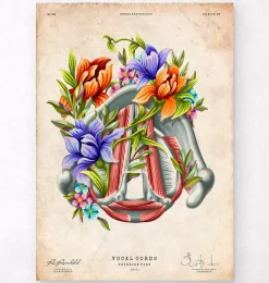 Codex Anatomicus Various Organs^Vocal cords - Floral - Vintage